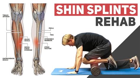 Tibialis Anterior Exercises Shin Splints Shin Splint Exercises Shin | My XXX Hot Girl