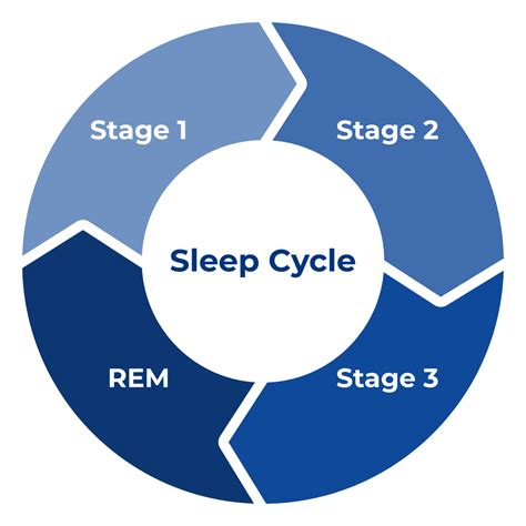 Stages Of Sleep: How Sleep Cycles Works | Sleep Standards