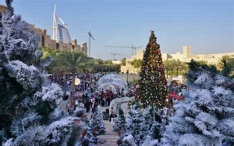 Winter Attractions in Dubai: Miracle Garden, Aventura & More - MyBayut