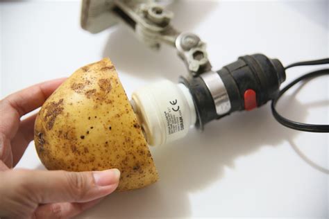 How to Remove a Broken Light Bulb with a Potato: 9 Steps