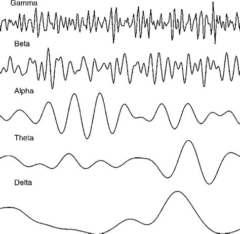 Theta Waves Eeg