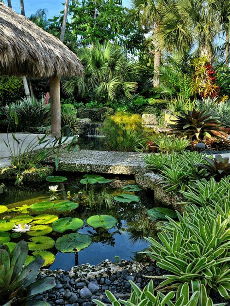 Jones Residence | Tropical landscape design, Tropical landscaping ...