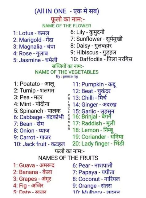 Pin by Vidhya Dvevedi on hindi | English vocabulary words learning ...