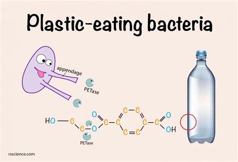 Plastic Eating Bacteria - how they work - PETase that can break down plastic