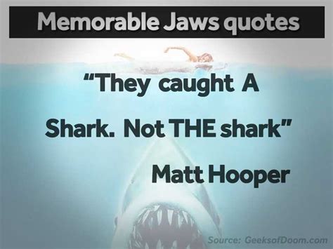 'Jaws' at 40: 17 memorable movie quotes