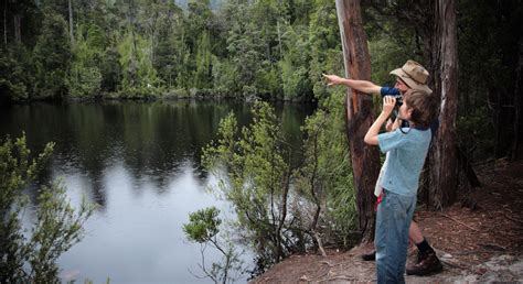 Walks in Huon Valley Southern Tasmania - The Huon Valley Southern Tasmania