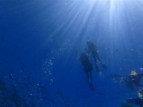 Snorkeling in Okinawa, Japan. Okinawa Japan, Snorkeling, Northern ...