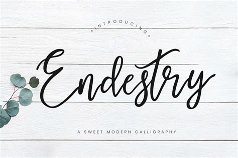 Modern Calligraphy Fonts