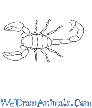 How to Draw a Scorpion