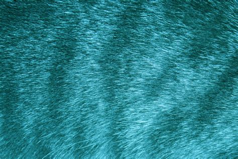 Teal Tabby Fur Texture – Photos Public Domain