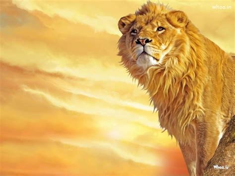 Hd Wallpapers Of Lion, Animal Wallpapers, Wild Life Animals