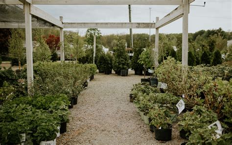 Garden Center - Lowe's Greenhouse