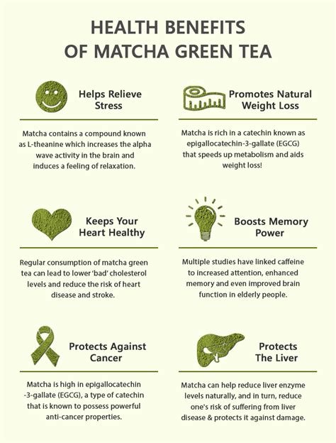 7 Great Health Benefits of Drinking Matcha Green Tea - TeaFame