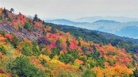 Here's what to expect from Asheville NC's fall foliage in 2021