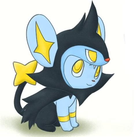 shinx-luxio | Pokemon shinx, Cute pokemon, Pokemon