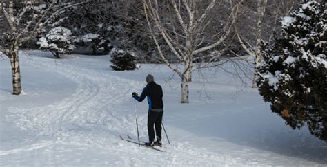 You can go cross-country skiing at the Montreal Botanical Garden | Curated