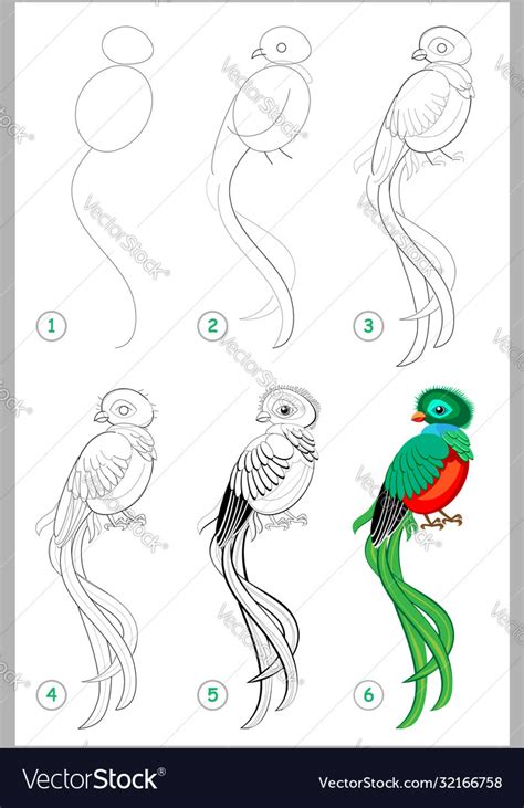 Flying Quetzal Drawing Guatemalan quetzal and transparent png images free download