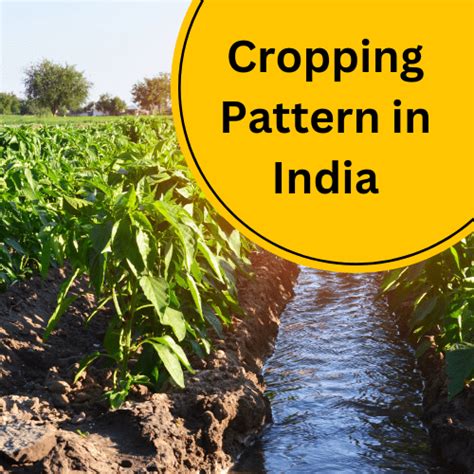 UPSC Mindmap – Cropping Pattern in India - Gyanchakra