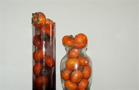 It’s Persimmon Season - The Daily Cuppa - Medium