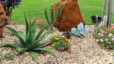 Xeriscaping in Arizona: A Practical Guide - Green Goddess