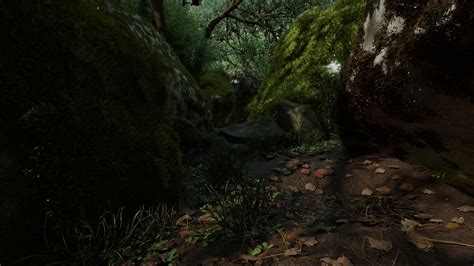 3D model Realistic Forest scene Environment | CGTrader