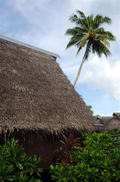 Traditional Polynesian Houses in Aitutaki Lagoon Cook Islands Stock ...