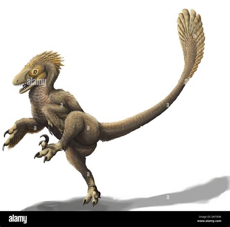 Balaur bondoc, a strange Romanian dromaeosaur, has two sickle claws and ...