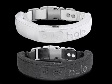 Halo Collar Review 2023: Pricing, Features With Pros and Cons