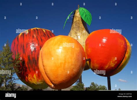 Big Fruit Cromwell Central Otago South Island New Zealand Stock Photo ...