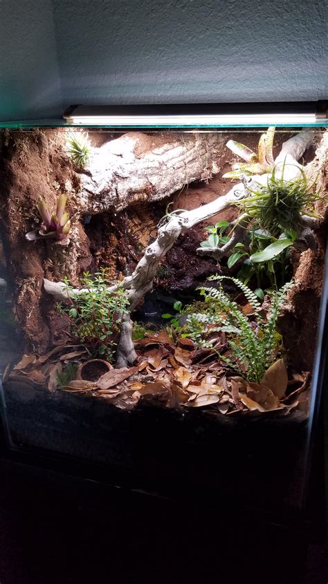 Progress picture! : Vivarium