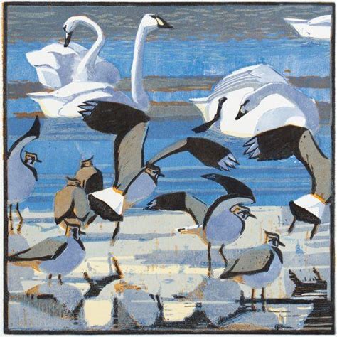 Robert Greenhalf artist - Prints and Paintings - Bircham Gallery | Bird artwork, Bird art, Artist