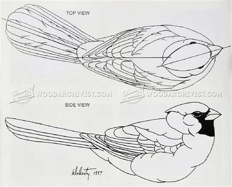 Cardinal Carving – Wood Carving Patterns • WoodArchivist