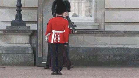 Queens Guard, London Living, London Attractions, In Gifs, Fall Over, Royal Guard, Red Bus ...