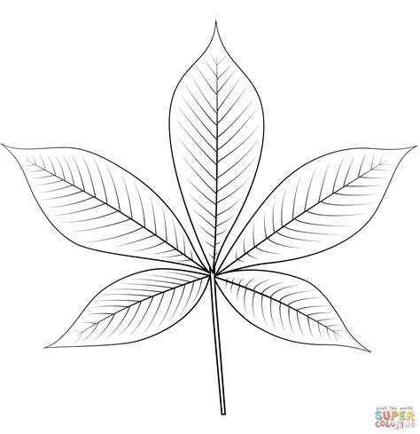 Ohio Buckeye Leaf coloring page | Free Printable Coloring Pages