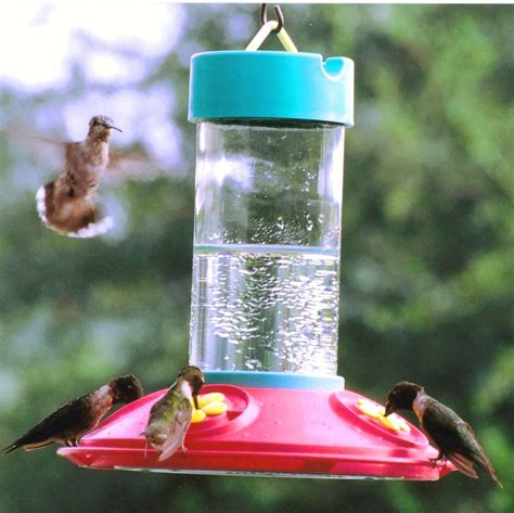 Hummingbird Feeders — Birdertown