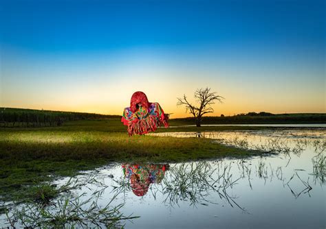 Mayssa Leão - Pernambuco Culture | LensCulture