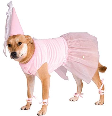 7 Cute Large Dog Halloween Costumes For Girl Dogs