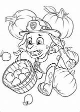 50 Disegni Di Paw Patrol Da Colorare Pianetabambini I  Vrogueco sketch template