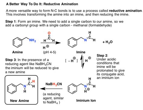 Reductive Amination | Organic chemistry, Chemistry, Engineering exam