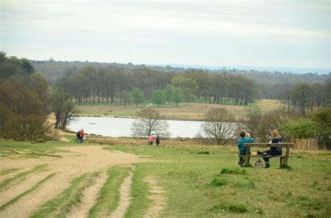 Beautiful park even in Winter - Richmond Park, Richmond Traveller ...