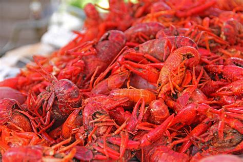 A Guide to Louisiana’s Crawfish Festivals - Arlen "Benny" Cenac Jr