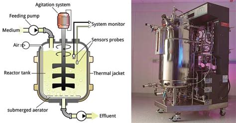 Design of a Fermenter