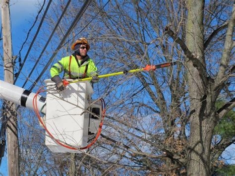 Utility Tree Pruning and Tree Care Near Power-lines | Tree Service ...