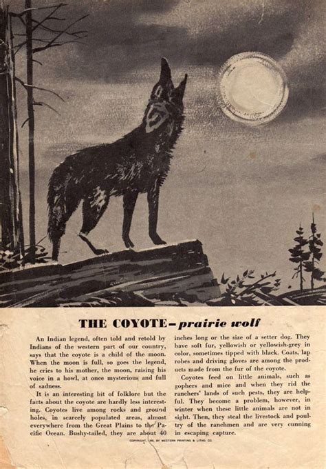 Coyote Mythology | Myths, Legends, and Other Stories | Pinterest