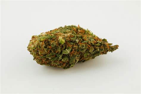 Confidential Cheese Strain of Marijuana | Weed | Cannabis | Herb