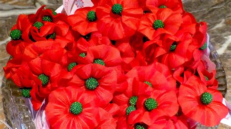 Veterans Day: What do red poppies mean, and why do people wear them?