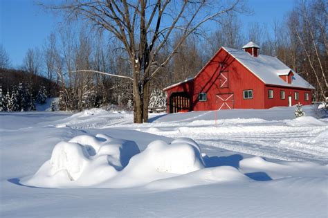 27 Must-Do Winter Preparation Chores For Your Homestead - Off The Grid News