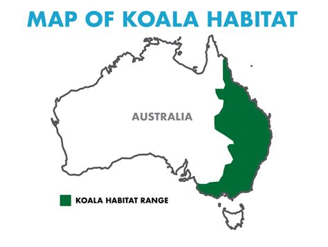 Map of Koala Habitat | SEEtheWILD Wildlife Conservation