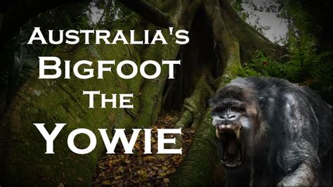 Bigfoot in Australia. The Yowie ... | Bigfoot, Australia, Cryptozoology