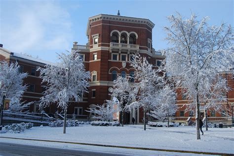 The ABC's of Oregon State University | Her Campus